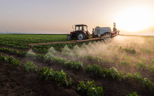 Best Pest Prevention Services  in Woodall, OK