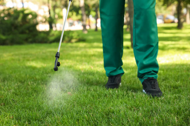Best Residential Pest Control  in Woodall, OK