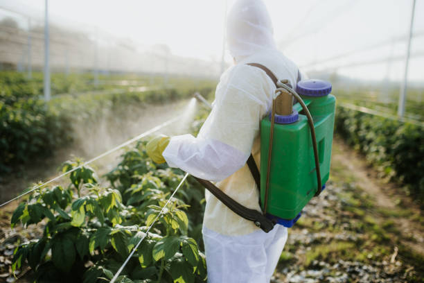 Best Pest Control for Homes  in Woodall, OK